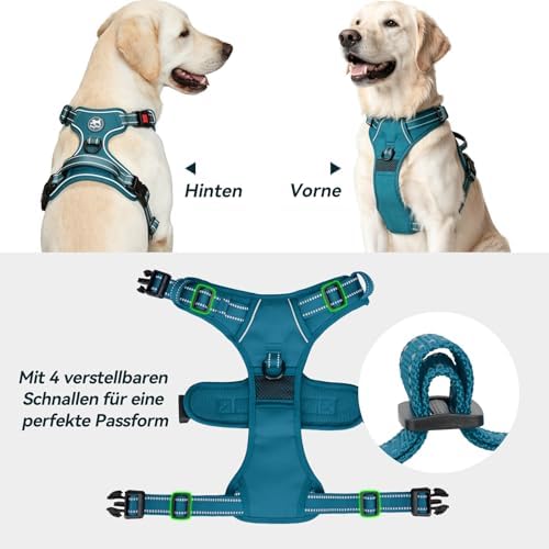 PoyPet Hundegeschirr ohne Zug, Reflektierendes Hundegeschirr für Hunde ohne Würgen, verstellbare, weich gepolsterte Haustierweste mit einfachem Steuergriff für mittelgroße Hunde (Tumalo Teal, M)|B09BG24HC1