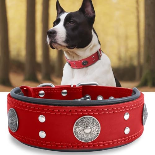 Hundehalsband Leder 5 cm Breites,Handgefertigt Weich und Luxuriös,BN-GD M|B0FSR47SDF