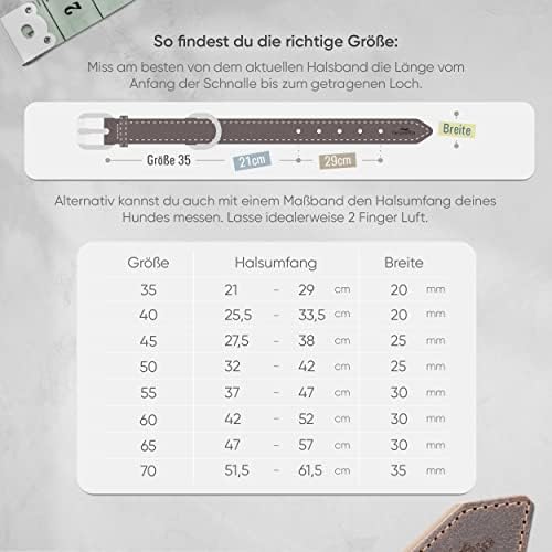 FREUDENTIER Hundehalsband aus Leder, Made in Holland, gefüttert & super komfortabel, hochwertiges breites Lederhalsband aus Vollnarbenleder, Model “Amstelpark” (47-57cm Halsumfang, Dark Chocolate)|B09ZPNS3Y7
