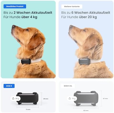 Tractive GPS Tracker Hund | 2025 Edition | Live-Ortung | Weglaufalarm | Aktivitätstracking | Gesundheitswarnungen | Bellverhalten | Empfohlen von Martin Rütter (Schwarz)|B0D6Z4L6BW