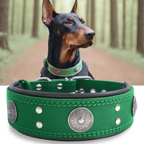 Hundehalsband Leder 5 cm Breites,Handgefertigt Weich und Luxuriös,BN-GD M|B0FSR47SDF