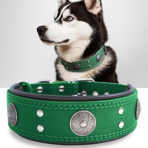Hundehalsband Leder 5 cm Breites,Handgefertigt Weich und Luxuriös,BN-GD M|B0FSR47SDF