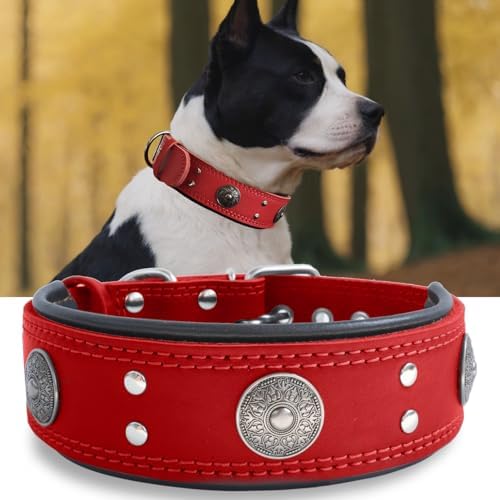Hundehalsband Leder 5 cm Breites,Handgefertigt Weich und Luxuriös,BN-GD M|B0FSR47SDF