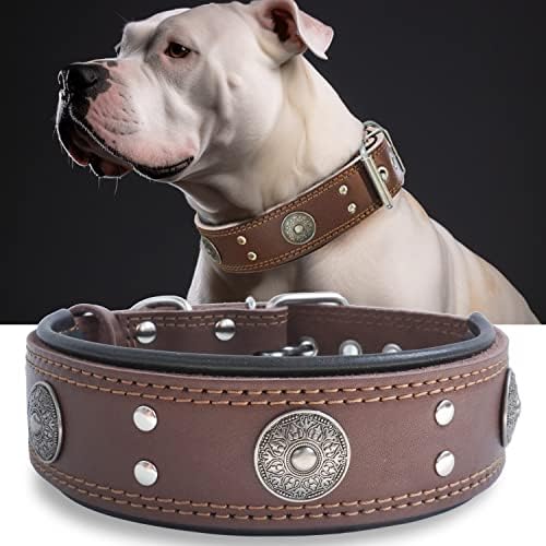 Hundehalsband Leder 5 cm Breites,Handgefertigt Weich und Luxuriös,BN-GD M|B0FSR47SDF