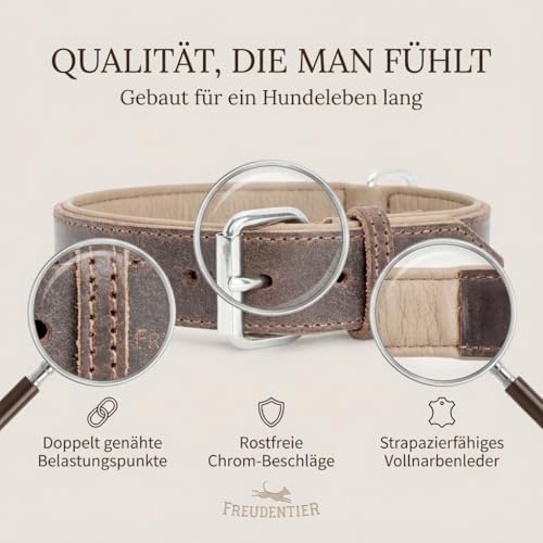 FREUDENTIER Hundehalsband aus Leder, Made in Holland, gefüttert & super komfortabel, hochwertiges breites Lederhalsband aus Vollnarbenleder, Model “Amstelpark” (47-57cm Halsumfang, Dark Chocolate)|B09ZPNS3Y7