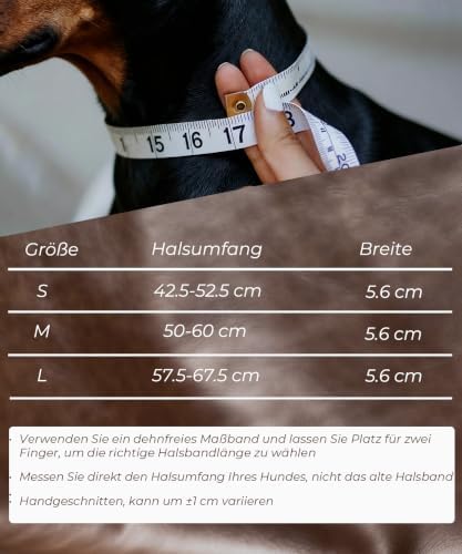 EliteGuard Hundehalsband Leder, 5,6 cm Breit, Schwarz-Gold, S|B0GMH3LXQZ