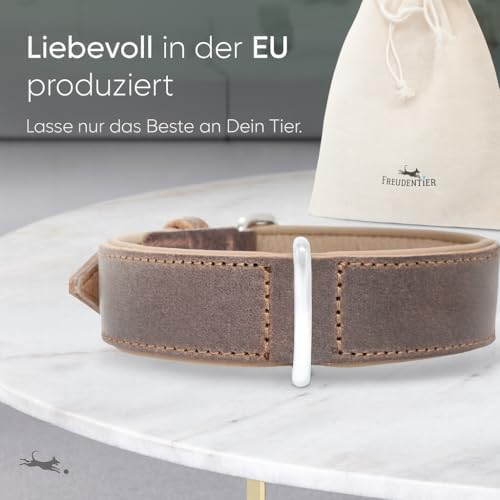 FREUDENTIER Hundehalsband aus Leder, Made in Holland, gefüttert & super komfortabel, hochwertiges breites Lederhalsband aus Vollnarbenleder, Model “Amstelpark” (47-57cm Halsumfang, Dark Chocolate)|B09ZPNS3Y7