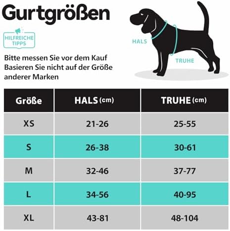 PoyPet Hundegeschirr ohne Zug, Reflektierendes Hundegeschirr für Hunde ohne Würgen, verstellbare, weich gepolsterte Haustierweste mit einfachem Steuergriff für mittelgroße Hunde (Tumalo Teal, M)|B09BG24HC1