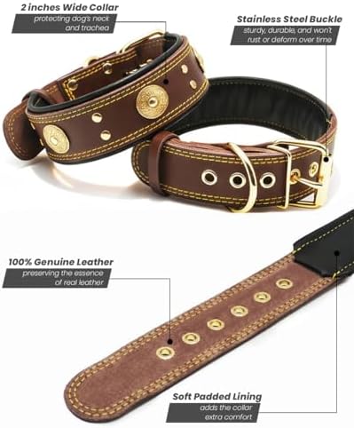 Hundehalsband Leder 5 cm Breites,Handgefertigt Weich und Luxuriös,BN-GD M|B0FSR47SDF