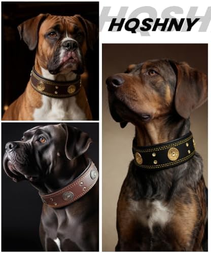 Hundehalsband Leder 5 cm Breites,Handgefertigt Weich und Luxuriös,BN-GD M|B0FSR47SDF