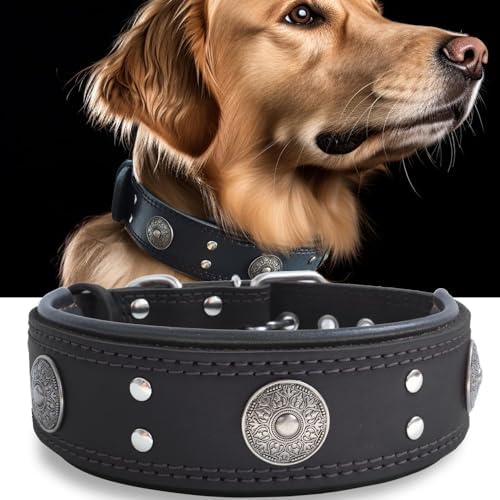 Hundehalsband Leder 5 cm Breites,Handgefertigt Weich und Luxuriös,BN-GD M|B0FSR47SDF