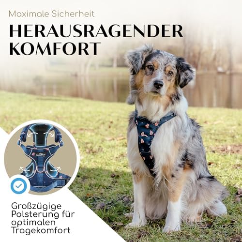 FREUDENTIER Hundegeschirr atmungsaktiv gepolstert, Anti-Zug-Geschirr|B08GKXF889