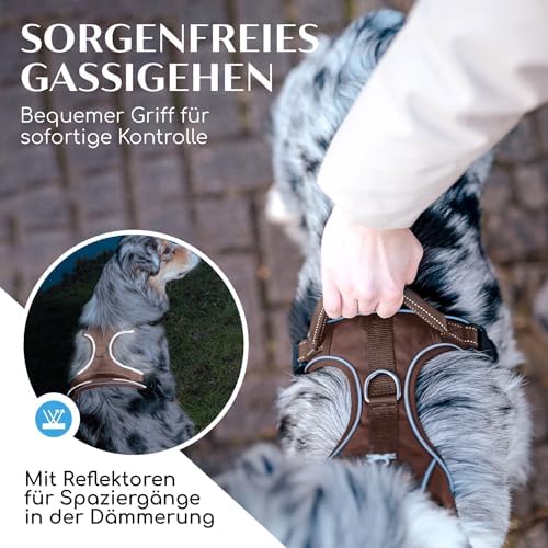 Freudentier Dog Harness Breathable Padded Anti-Pull Harness|B0DP1G5L3X