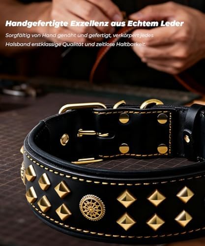 EliteGuard Hundehalsband Leder, 5,6 cm Breit, Schwarz-Gold, S|B0GMH3LXQZ