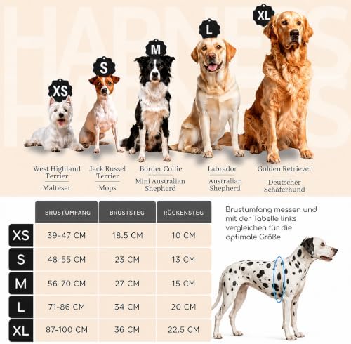 Freudentier Dog Harness Breathable Padded Anti-Pull Harness|B0DP1G5L3X