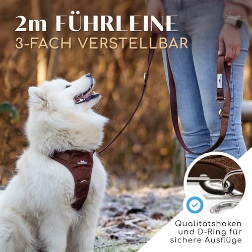 FREUDENTIER Hundeleine 2m - Führleine, gepolstert & verstellbar (Braun)|B0DP1G2SP5