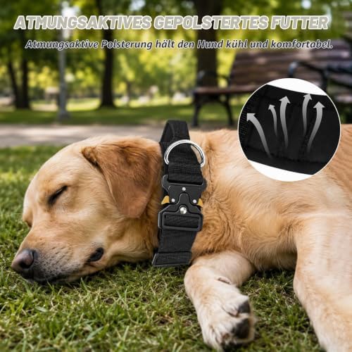 Halsband Hund, Taktisches Hundehalsband Breit Gepolstert mit Griff für Große Mittlere Hunde, Verstellbares Dog Collar Nylon mit Schnellverschluss Metallschnalle (Schwarz, L)|B0GWQ3GD3K