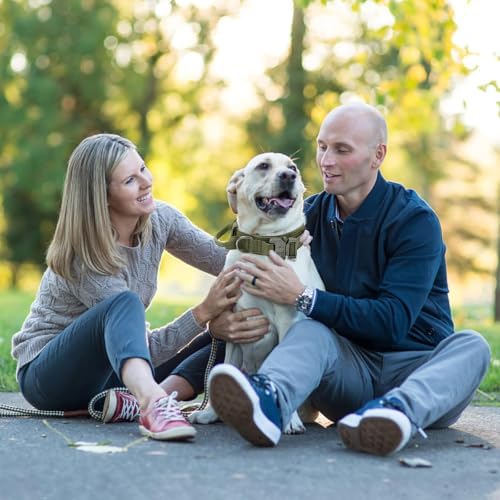 Militär-Hundehalsband, Verstellbar mit Kommandogriff, Metallschnalle, Nylon, für Hunde Training Freizeit Outdoor (M, Armeegrün)|B0BLHB1TKZ