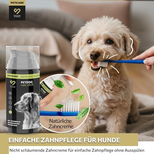Peticare® Hunde Zahnpasta (75 ml) – Natürliche Hundezahnpasta gegen Zahnstein & Mundgeruch – Sanfte Zahnpflege für Hunde & Welpen aller Rassen – langanhaltende Wirkung – inkl. Zahnbürste|B0D83MQHPG