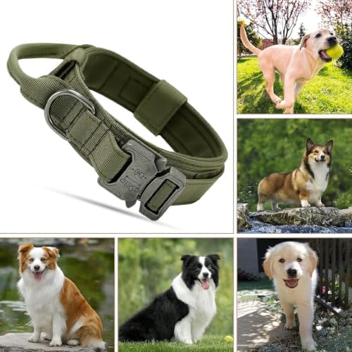 Militär-Hundehalsband, Verstellbar mit Kommandogriff, Metallschnalle, Nylon, für Hunde Training Freizeit Outdoor (M, Armeegrün)|B0BLHB1TKZ