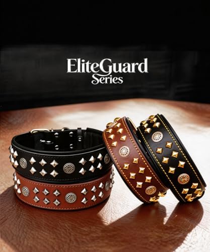 EliteGuard Hundehalsband Leder, 5,6 cm Breit, Schwarz-Gold, S|B0GMH3LXQZ