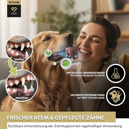 Peticare® Hunde Zahnpasta (75 ml) – Natürliche Hundezahnpasta gegen Zahnstein & Mundgeruch – Sanfte Zahnpflege für Hunde & Welpen aller Rassen – langanhaltende Wirkung – inkl. Zahnbürste|B0D83MQHPG