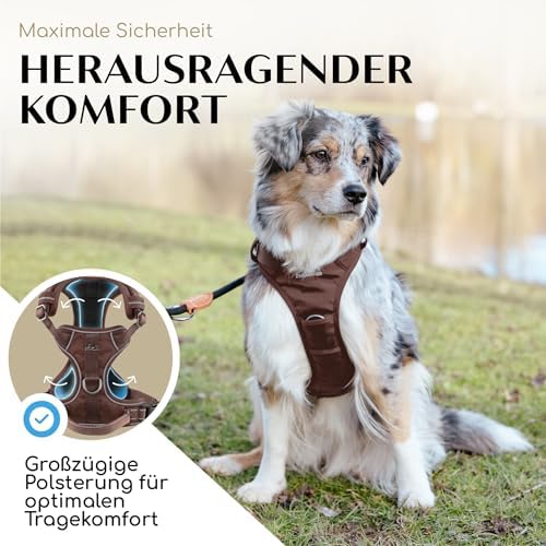 Freudentier Dog Harness Breathable Padded Anti-Pull Harness|B0DP1G5L3X