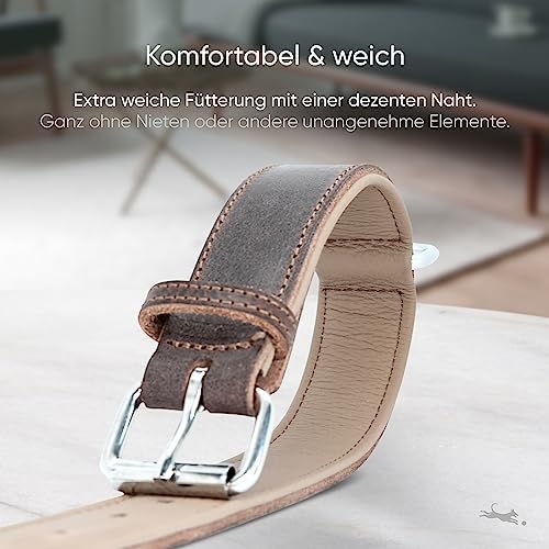 FREUDENTIER Hundehalsband aus Leder, Made in Holland, gefüttert & super komfortabel, hochwertiges breites Lederhalsband aus Vollnarbenleder, Model “Amstelpark” (47-57cm Halsumfang, Dark Chocolate)|B09ZPNS3Y7