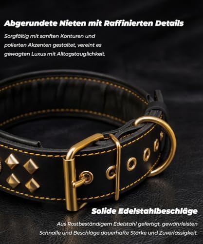 EliteGuard Hundehalsband Leder, 5,6 cm Breit, Schwarz-Gold, S|B0GMH3LXQZ