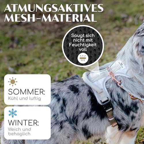 FREUDENTIER Hundegeschirr atmungsaktiv gepolstert, Anti-Zug-Geschirr|B098TMK37V