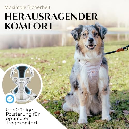 FREUDENTIER Hundegeschirr atmungsaktiv gepolstert, Anti-Zug-Geschirr|B098TMK37V