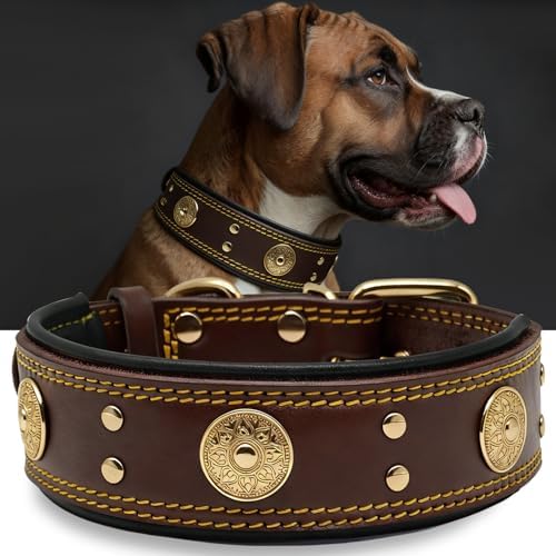 Hundehalsband Leder 5 cm Breites,Handgefertigt Weich und Luxuriös,BN-GD M|B0FSR47SDF