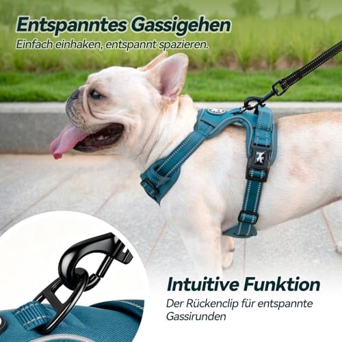 PoyPet Hundegeschirr ohne Zug, Reflektierendes Hundegeschirr für Hunde ohne Würgen, verstellbare, weich gepolsterte Haustierweste mit einfachem Steuergriff für mittelgroße Hunde (Tumalo Teal, M)|B09BG24HC1
