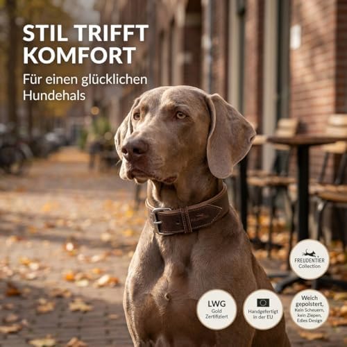 FREUDENTIER Hundehalsband aus Leder, Made in Holland, gefüttert & super komfortabel, hochwertiges breites Lederhalsband aus Vollnarbenleder, Model “Amstelpark” (47-57cm Halsumfang, Dark Chocolate)|B09ZPNS3Y7