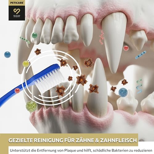 Peticare® Hunde Zahnpasta (75 ml) – Natürliche Hundezahnpasta gegen Zahnstein & Mundgeruch – Sanfte Zahnpflege für Hunde & Welpen aller Rassen – langanhaltende Wirkung – inkl. Zahnbürste|B0D83MQHPG