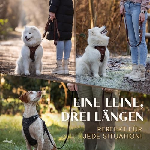 FREUDENTIER Hundeleine 2m - Führleine, gepolstert & verstellbar (Braun)|B0DP1G2SP5
