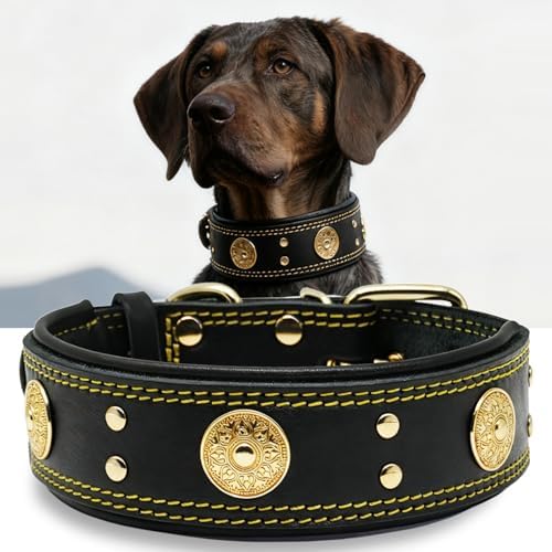 Hundehalsband Leder 5 cm Breites,Handgefertigt Weich und Luxuriös,BN-GD M|B0FSR47SDF