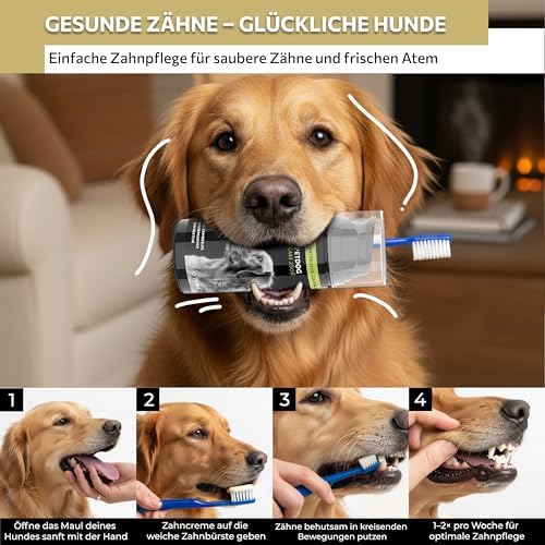 Peticare® Hunde Zahnpasta (75 ml) – Natürliche Hundezahnpasta gegen Zahnstein & Mundgeruch – Sanfte Zahnpflege für Hunde & Welpen aller Rassen – langanhaltende Wirkung – inkl. Zahnbürste|B0D83MQHPG