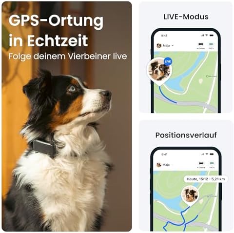 Tractive GPS Tracker Hund | 2025 Edition | Live-Ortung | Weglaufalarm | Aktivitätstracking | Gesundheitswarnungen | Bellverhalten | Empfohlen von Martin Rütter (Schwarz)|B0D6Z4L6BW