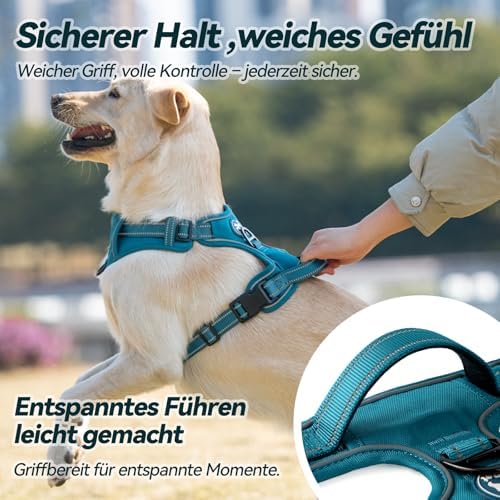 PoyPet Hundegeschirr ohne Zug, Reflektierendes Hundegeschirr für Hunde ohne Würgen, verstellbare, weich gepolsterte Haustierweste mit einfachem Steuergriff für mittelgroße Hunde (Tumalo Teal, M)|B09BG24HC1