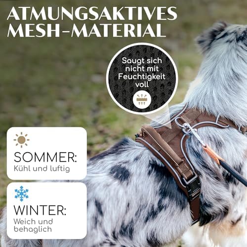 Freudentier Dog Harness Breathable Padded Anti-Pull Harness|B0DP1G5L3X