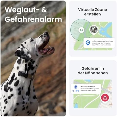 Tractive GPS Tracker Hund | 2025 Edition | Live-Ortung | Weglaufalarm | Aktivitätstracking | Gesundheitswarnungen | Bellverhalten | Empfohlen von Martin Rütter (Schwarz)|B0D6Z4L6BW