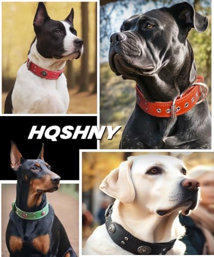 Hundehalsband Leder 5 cm Breites,Handgefertigt Weich und Luxuriös,BN-GD M|B0FSR47SDF