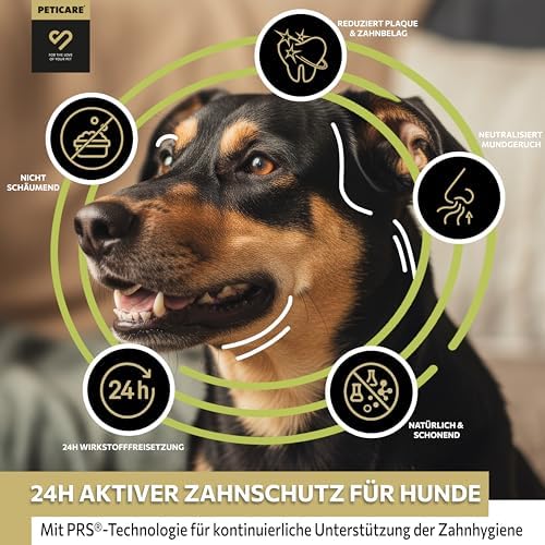 Peticare® Hunde Zahnpasta (75 ml) – Natürliche Hundezahnpasta gegen Zahnstein & Mundgeruch – Sanfte Zahnpflege für Hunde & Welpen aller Rassen – langanhaltende Wirkung – inkl. Zahnbürste|B0D83MQHPG