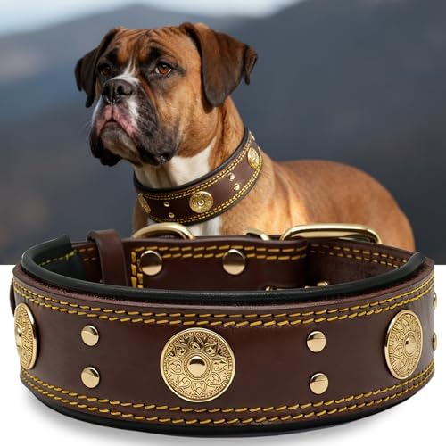 Hundehalsband Leder 5 cm Breites,Handgefertigt Weich und Luxuriös,BN-GD M|B0FSR47SDF