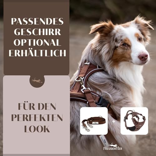 FREUDENTIER Hundeleine 2m - Führleine, gepolstert & verstellbar (Braun)|B0DP1G2SP5