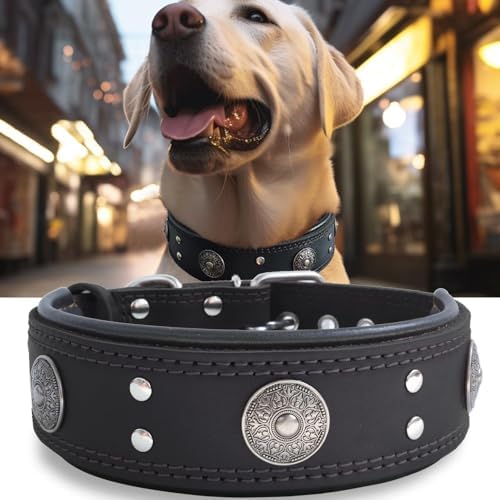 Hundehalsband Leder 5 cm Breites,Handgefertigt Weich und Luxuriös,BN-GD M|B0FSR47SDF