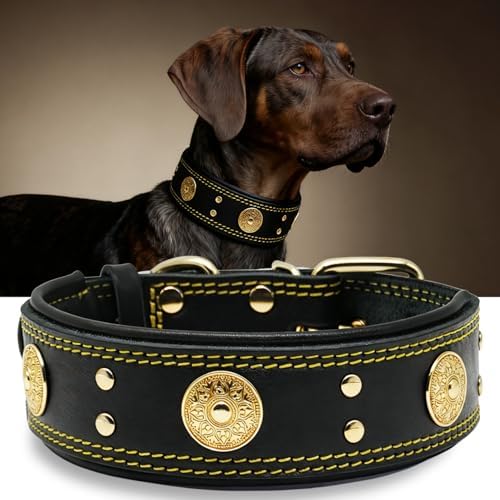 Hundehalsband Leder 5 cm Breites,Handgefertigt Weich und Luxuriös,BN-GD M|B0FSR47SDF