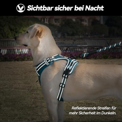 PoyPet Hundegeschirr ohne Zug, Reflektierendes Hundegeschirr für Hunde ohne Würgen, verstellbare, weich gepolsterte Haustierweste mit einfachem Steuergriff für mittelgroße Hunde (Tumalo Teal, M)|B09BG24HC1