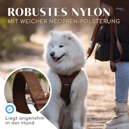 FREUDENTIER Hundeleine 2m - Führleine, gepolstert & verstellbar (Braun)|B0DP1G2SP5